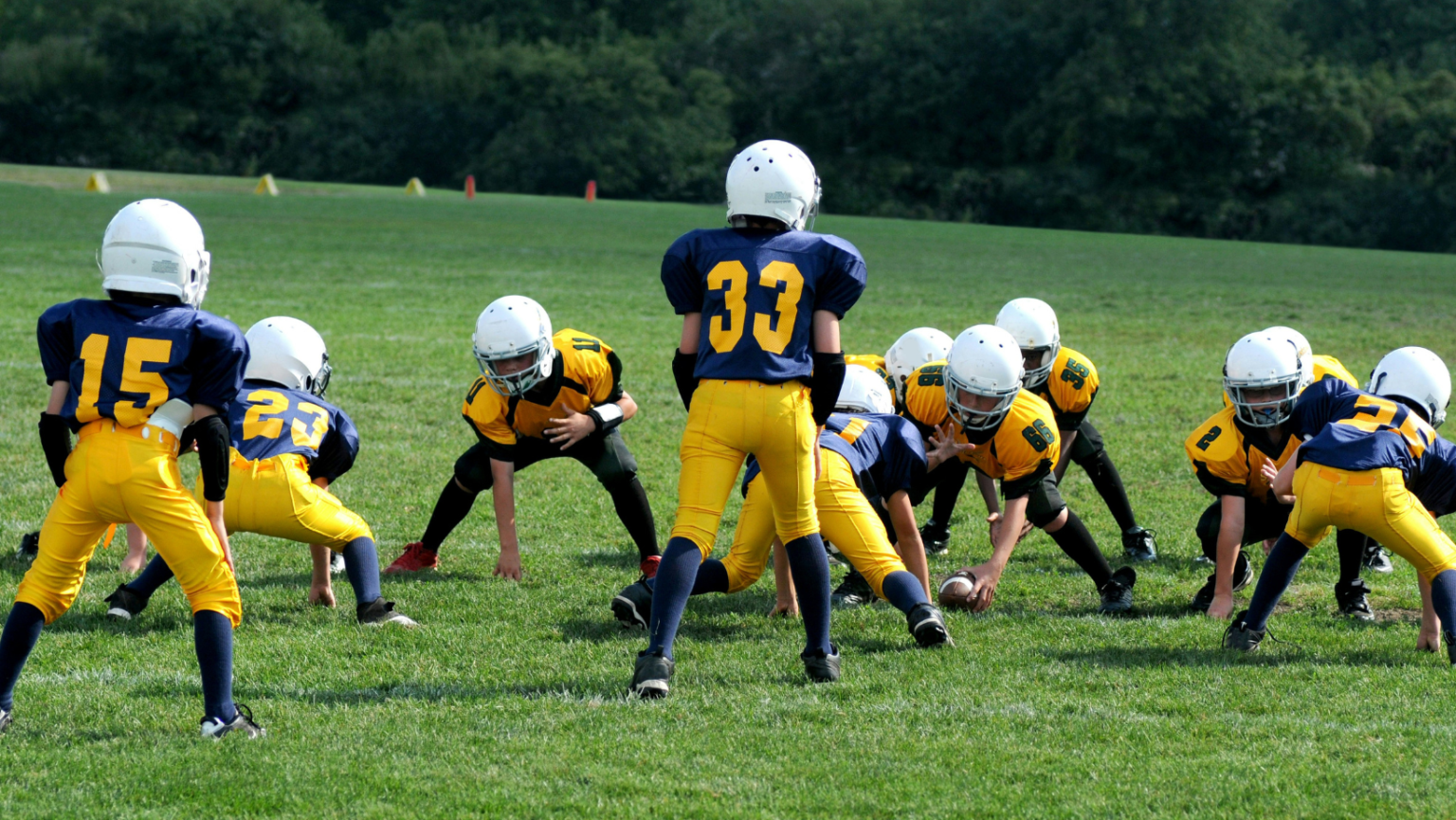 Play to Progress: How Sports Enhance Cognitive Skills and Learning in Students