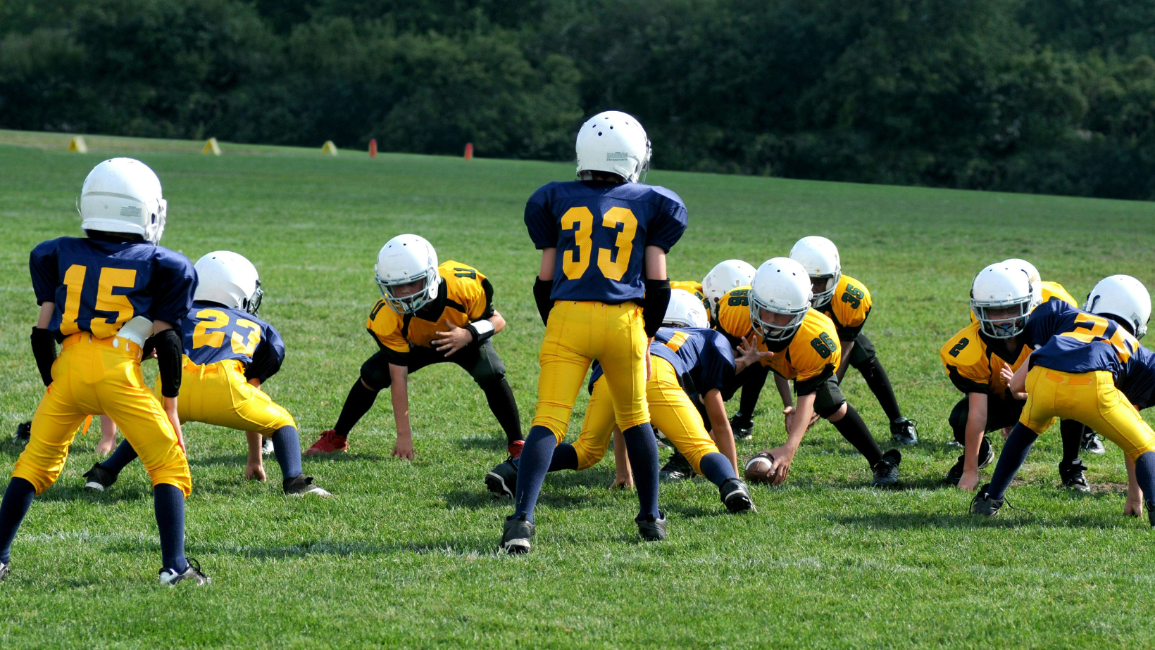 Sports at Zenith Edu Global School